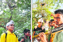 Beehives pose danger at Swami Ram Tirath School in Phase IV (left) and at JCT Park in Phase XI in Mohali.