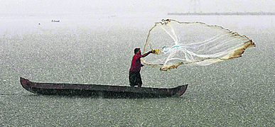 A fisherman casts his fishing net during a heavy shower on the outskirts of Kochi in Kerala.