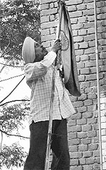 An MC employee removes the torn Tricolour from the rooftop of a building at Phase VII in Mohali on Monday