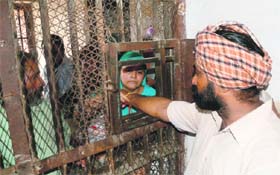 A woman ties rakhi on the wrist of her brother at the Central Jail in Ludhiana on Thursday
