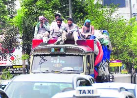 Labourers risk their lives by travelling on the roof of a truck in Ludhiana on Thursday