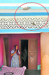 Marks of bullets fired by Pak Rangers which hit the parapet of a house at Chandu Chak village.