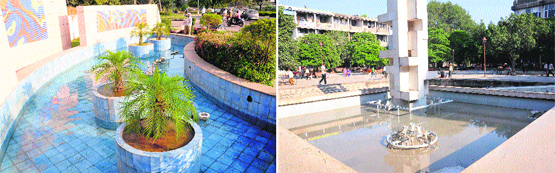 Water accumulated in fountains at Industrial Area and Sector 17, Chandigarh. The fountains have not been cleaned up post-monsoon, exposing the apathetic attitude of the authorities.