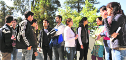 Poor quality of technical education and fewer jobs are driving the youth in Himachal to the edge. Tribune photo: Amit Kanwar
