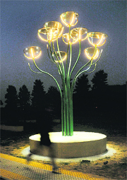 The proposal for installing the country’s first solar tree near the city landmark, Sukhna Lake, was turned down by the UT urban planning department. It has now been installed near the YPS roundabout in Mohali.