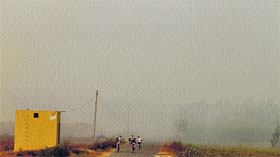 Paddy stubble being burnt in fields near Ludhiana