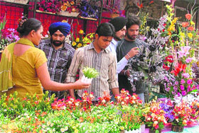 Residents look for bouquets in Ludhiana on Monday.