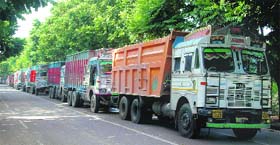 The seized tippers and trucks parked on a road in front of the Sohana police station in Mohali on Monday