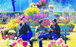 Students enjoy sunny weather during a flower show at Panjab University in Chandigarh on Wednesday
