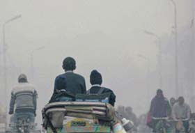 Biting cold: A blanket of fog covers Lucknow on Saturday