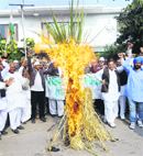 In protest against the minimum support price (MSP) of sugarcane, activists of Bharatiya Kisan Union on Saturday burnt sugarcane outside the residence of local MLA Sumita Singh in Karnal and warned to lock up all the suger mills in the state if the price was not increased by January 5.