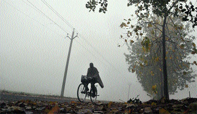 A thick blanket of fog engulfs Ludhiana on Wednesday morning.