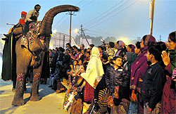 An elephant greets devotees at the Sangam ahead of the Mahakumbh in Allahabad on Sunday