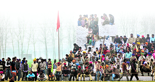 When the show in on, there is never a dearth of spectators