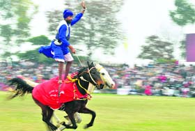 A Nihang stands astride two horses