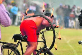 A daredevil act