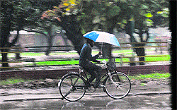 A cyclist pedals down a road as it rains in Phase I, Mohali, on Wednesday