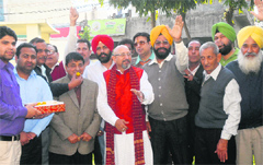 District Congress workers celebrate the appointment of Partap Singh Bajwa as the PPCC chief in Jalandhar on Wednesday.