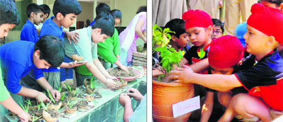 Students across the tricity schools took part in the World Earth Day celebrations on Monday.