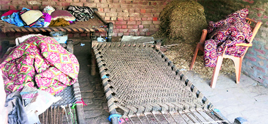 The room where the family consumed poison in Hisars Bhairi Akbarpur village.
