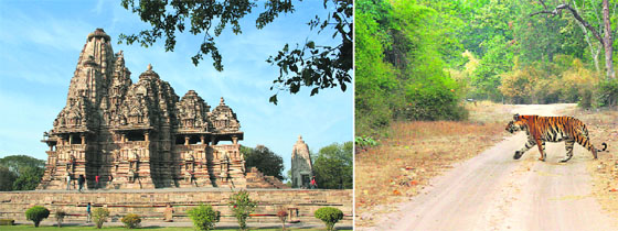 World Heritage Site Khajuraho and (right) Close brush with wild life at Bandhavgarh