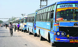 Parked Haryana Roadways buses at Kundli in Sonepat, one of the four entry points to Delhi, on Saturday.