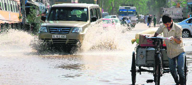 Rain lashed Chandigarh and its vicinity on Sunday. 