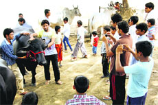 Villagers click pictures with Lakshmi at her farewell. 
