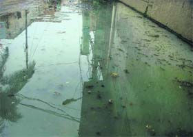 Sewage accumulated in the street adjoining Shere-e-Punjab Dhaba in Doraha