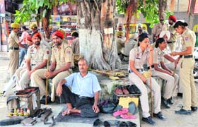 Tree of relief: As Bharat Nagar Chowk has become a favourite spot for protesters, police personnel can be seen there whiling away time under this shady tree