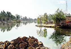 A chunk of shamlat land being illegally occupied in Sibian village of Faridkot