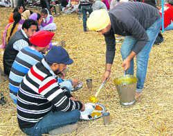 A devotee serves langar to devotees at Fatehgarh Sahib gurdwara on Wednesday.