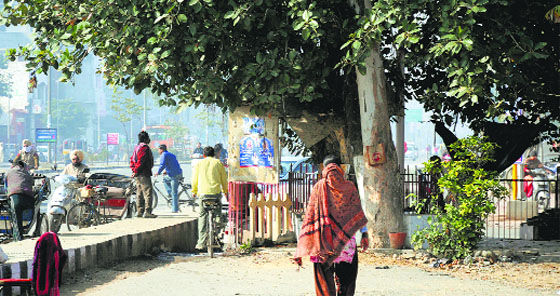 This tree is of religious importance to residents of the area and has become an impediment for commuters as they cannot use the slipway on Ferozepur Road