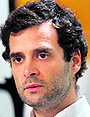 Rahul Gandhi, cong vice-president