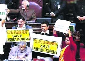 MPs protest bifurcation of Andhra Pradesh in Rajya Sabha