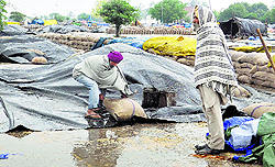 Farmers try to save their produce from water in Sirhind on Thursday