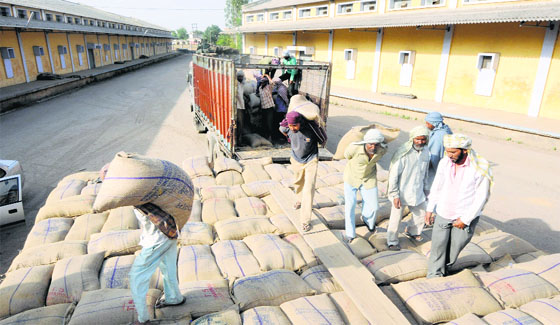 Annually, Punjab has to make storage arrangements for over 210 lakh tonne of fresh stock of wheat and rice, besides carry-over stock to the tune of 60-80 lakh tonne.