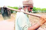 A file photo of a farmer at a field in Patiala.