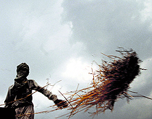 A farmer throws harvested crop in a field as the weather turned cloudy on Friday