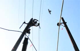 A worker carries out repairs at an electricity pole in Ludhaina