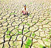 A farmer awaits rain