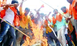 Students burn an effigy of Delhi University VC Dinesh Singh at the universitys North Campus on Wednesday.