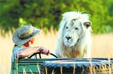 Safari diary: A still from The Lion Man: African Safari