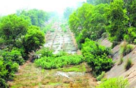 A major part of the Sutlej Yamuna Link canal was completed long ago, but it continues to remain non-functional