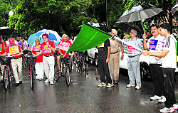 Officials of the Municipal Corporation plant saplings in Sector 22, Chandigarh, on Saturday