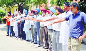 Members of the Punjabi Ghazal Manch, Phillaur, pledge to take care of plants and trees during their meeting at Punjabi Bhawan in Ludhiana