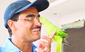 Vipin Bhatia, founder of Pakshi Sewa Samiti, plays with his 16-year-old parrot in Ludhiana