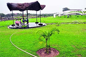 The upcoming Garden of Palms adjoining the Sector 42 lake in Chandigarh. More than 50 varieties of palm have been planted in the garden developed over an area of 20 acres.