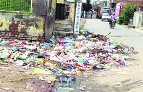 Garbage dumped on the College Road in Doraha