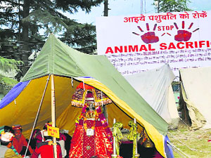 A hoarding against animal sacrifice at Dasehra venue in Kullu.